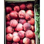 Саженец персика "Советский" Саженец персика "Советский"